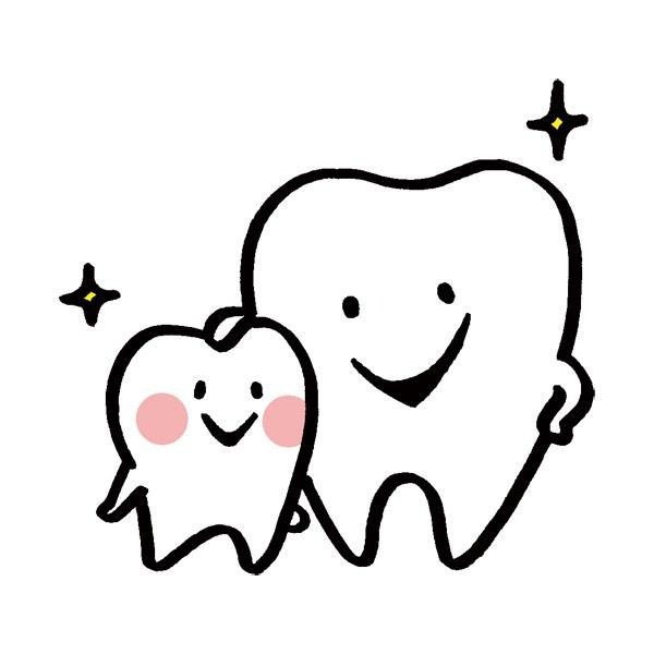 健康な歯のイメージ