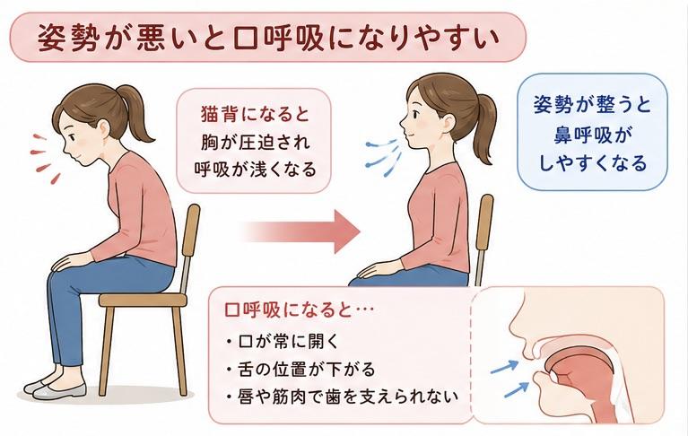 姿勢と呼吸の関係