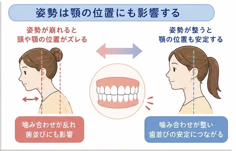 姿勢は顎の位置にも影響する