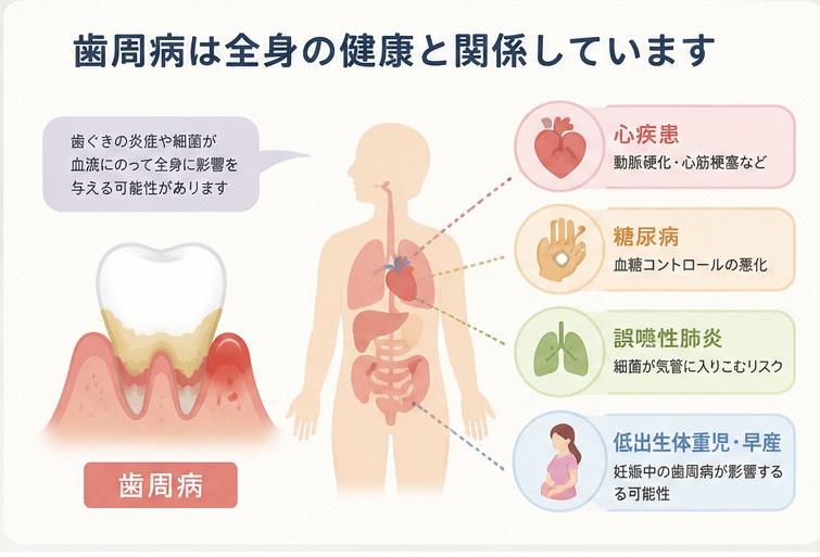 歯と体の健康の関係