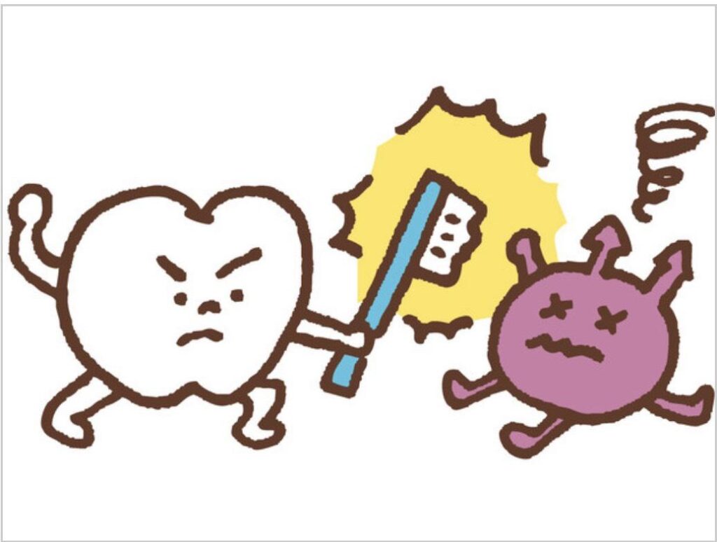歯磨きで虫歯予防をするイメージ